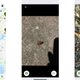 A few scenes from Cicada Safari.